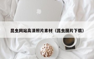 丰城昆虫网站高清照片素材（昆虫图片下载）